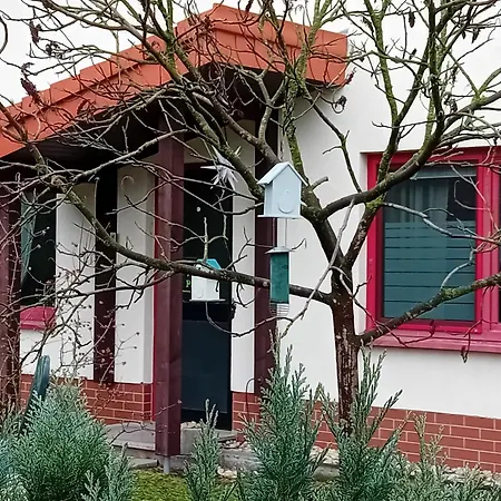 Haus Blick 公寓 Wittenberg