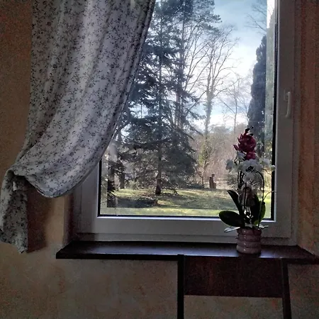 Apartamento Haus Blick *